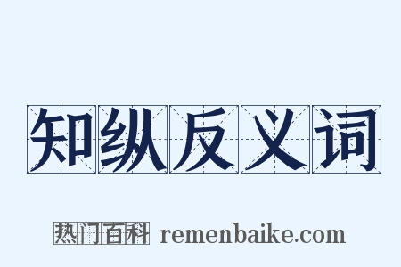 知纵反义词是什么意思的图片